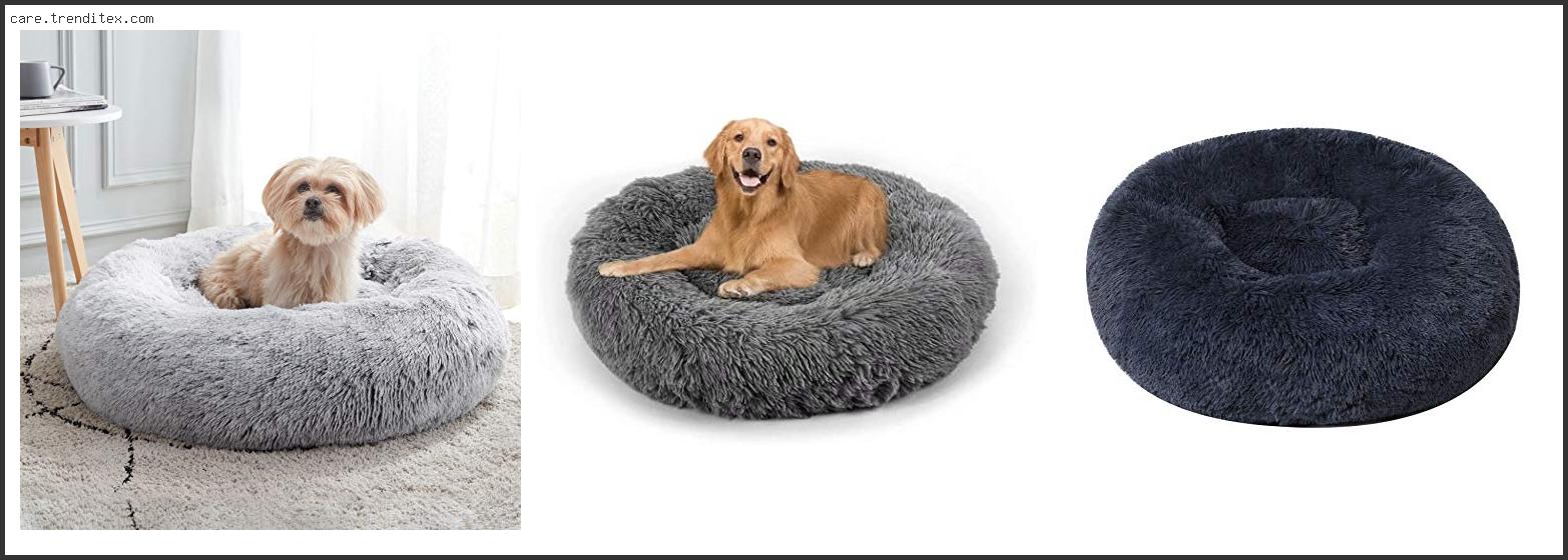 Best Calming Donut Dog Bed