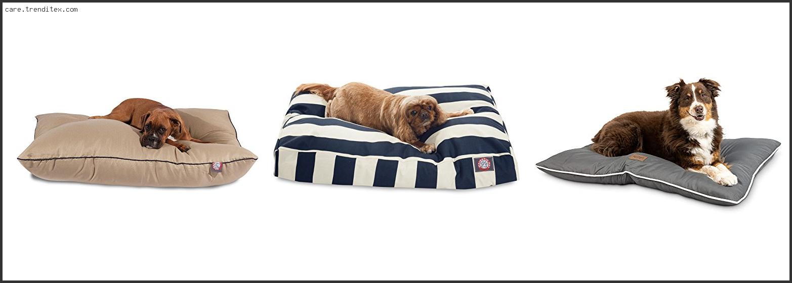 Best Canvas Dog Bed