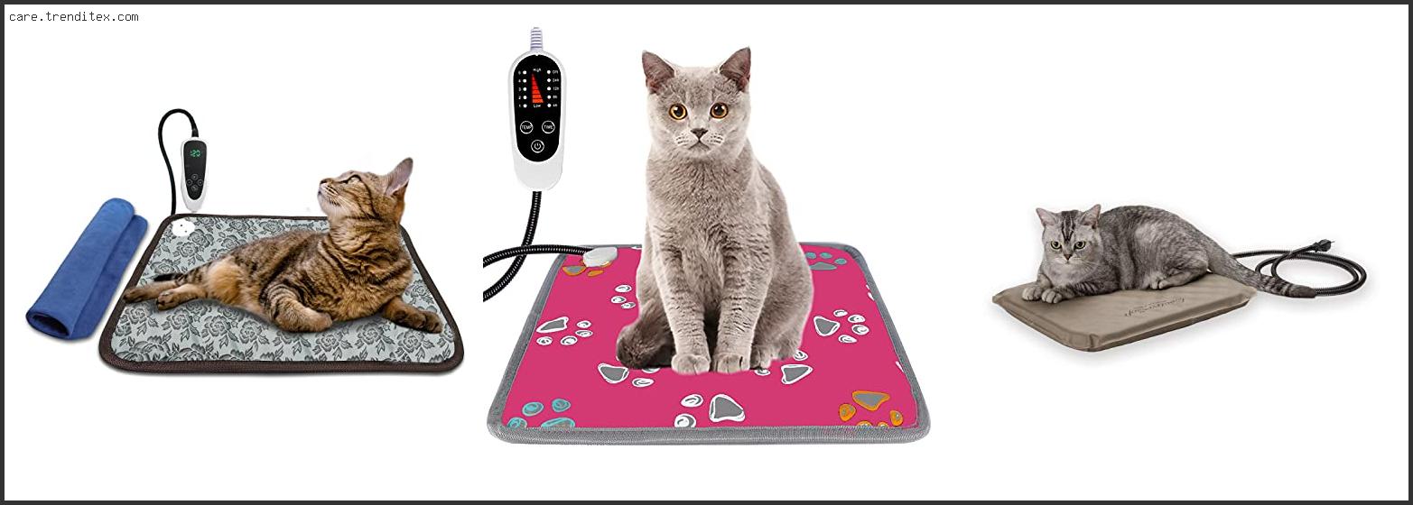 Best Outdoor Heating Pad For Cats