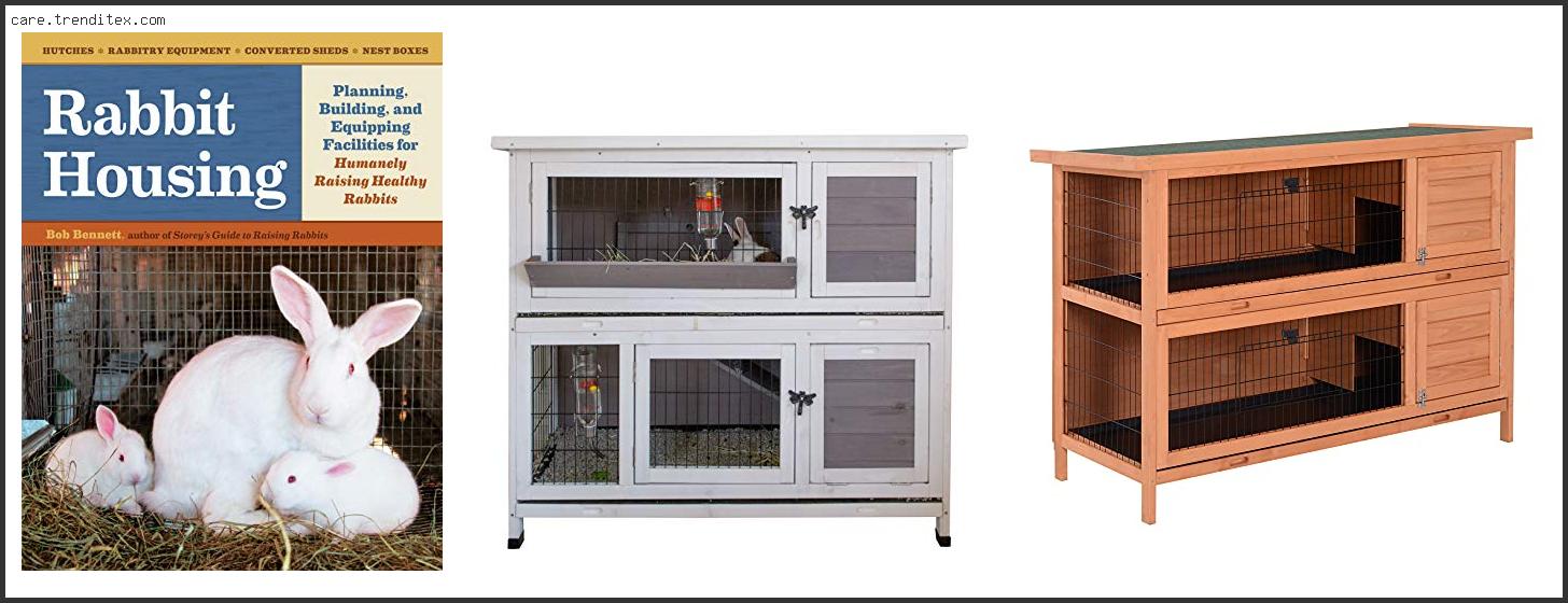 Best Friends Rabbit Hutch