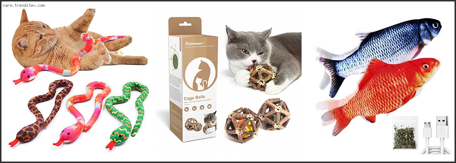 Best Catnip Toys For Cats