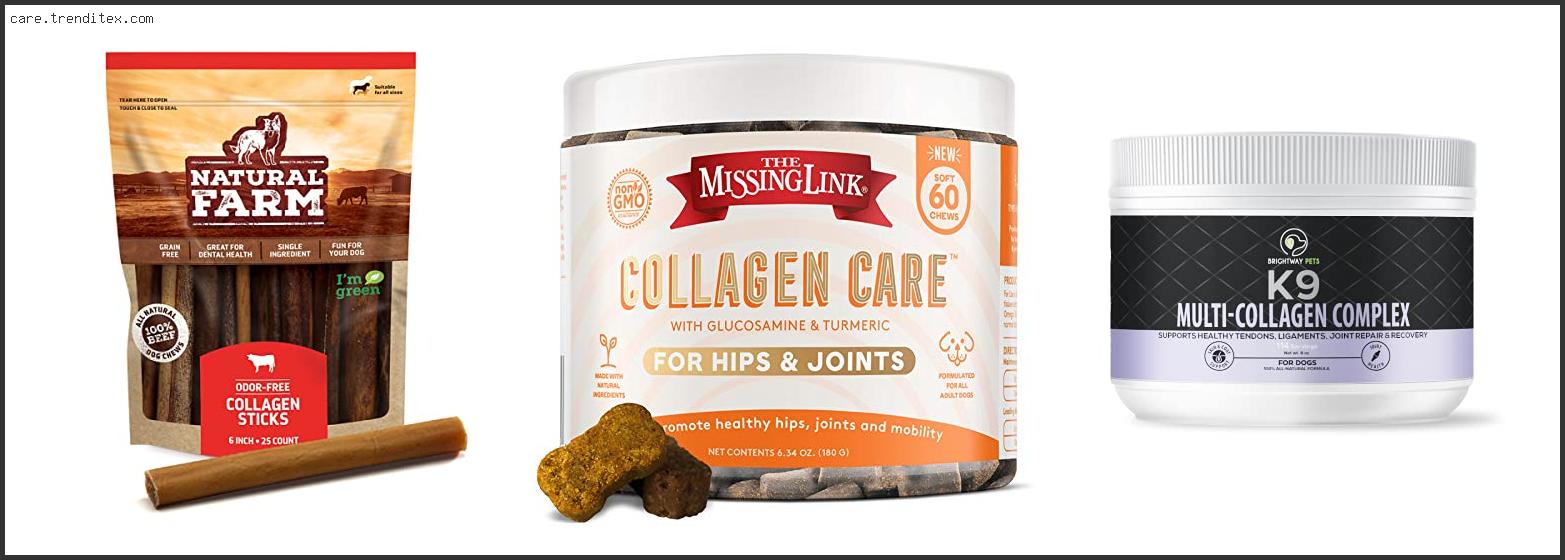 Best Collagen For Dogs