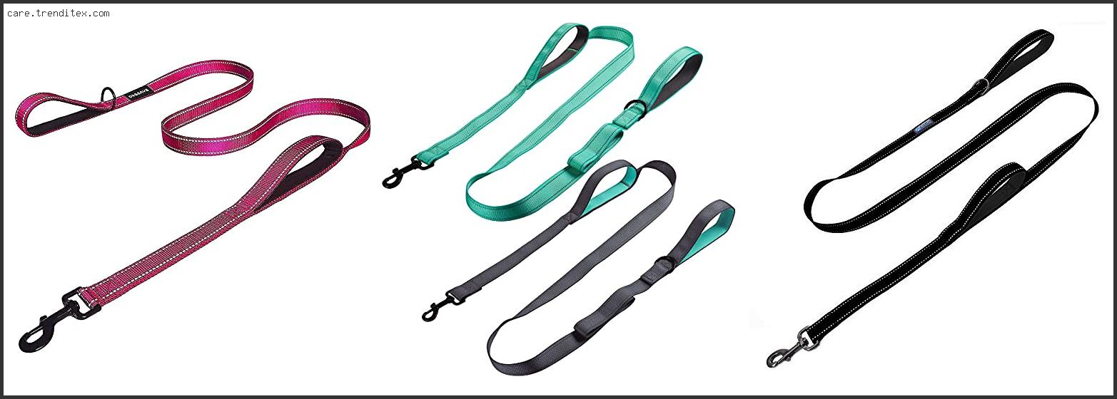 Best Dog Leash With Traffic Handle