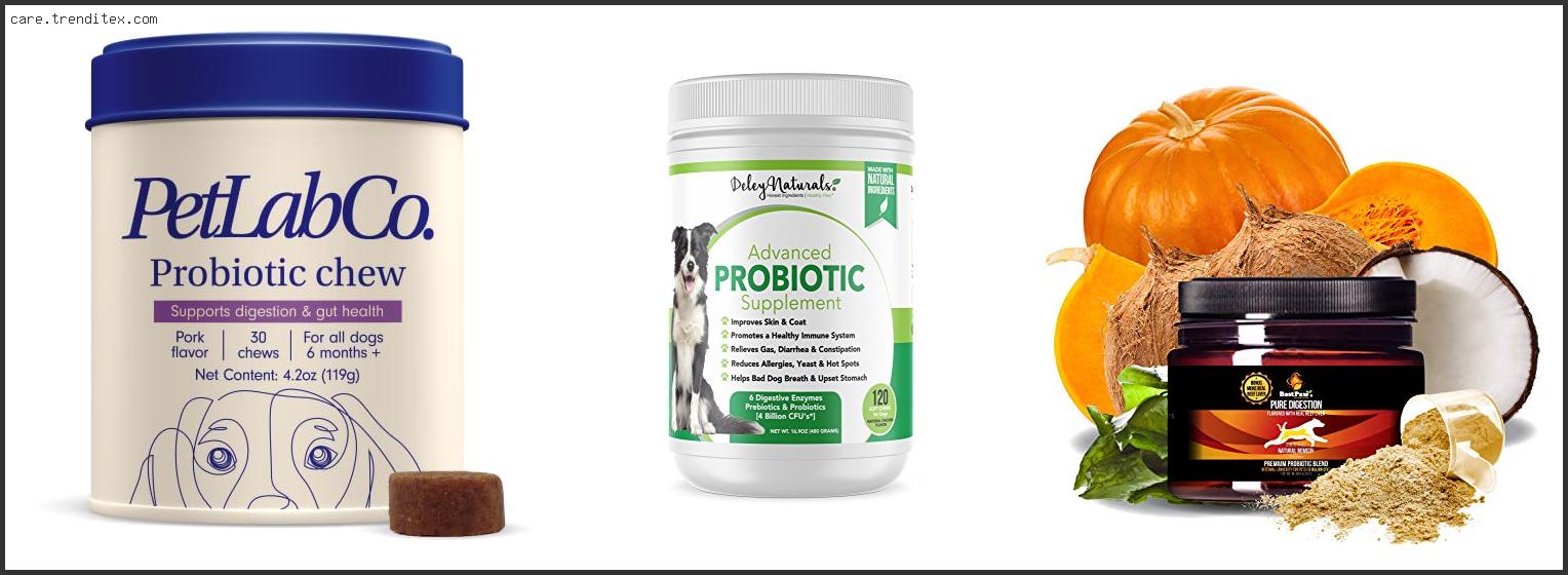 Best Probiotic For Dogs With Yeast In Ears