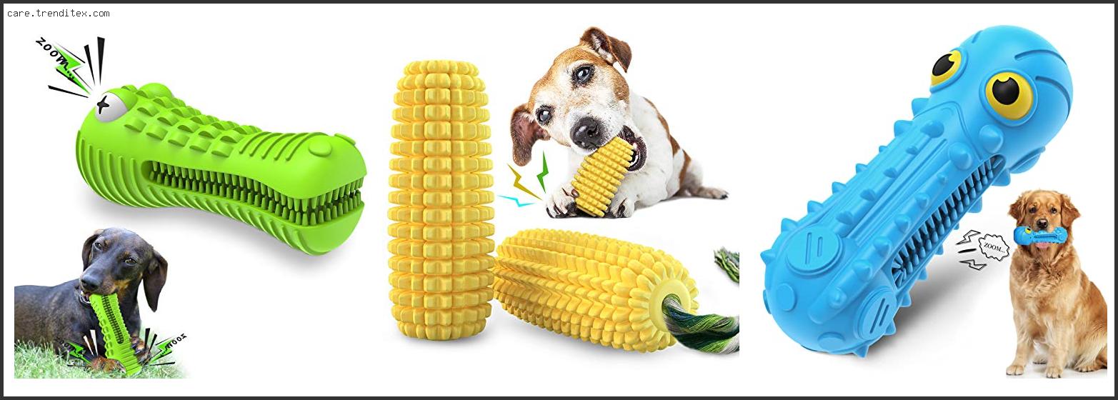 Best Interactive Dog Toys For Large Breeds