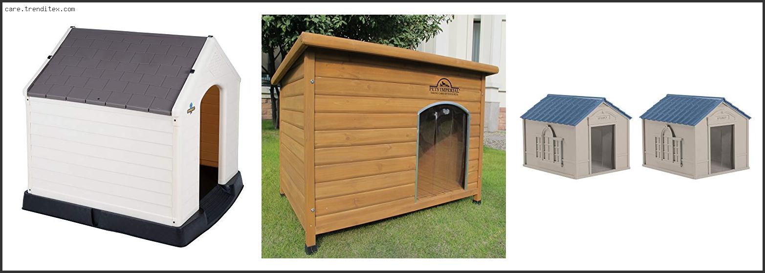 Best Weatherproof Dog House