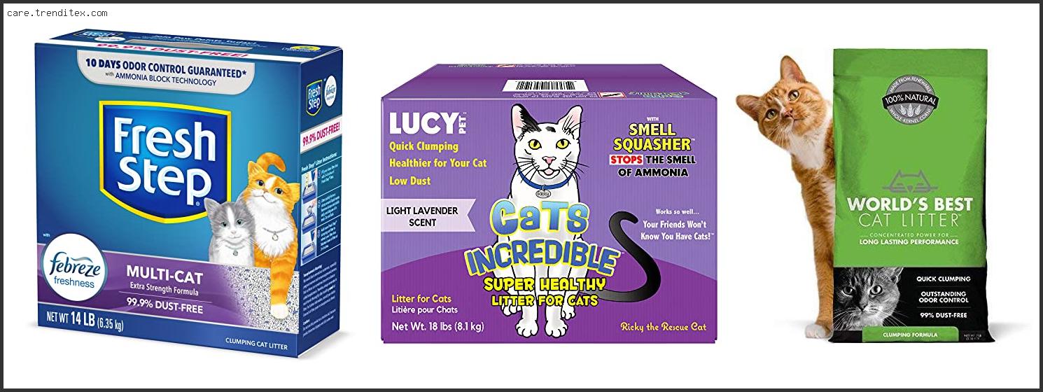 Best Cat Litter In The World