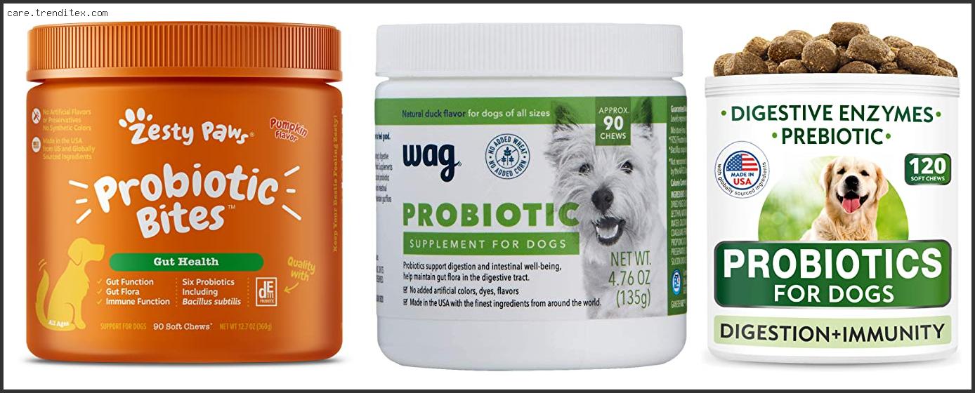 Best Dog Probiotic Chews