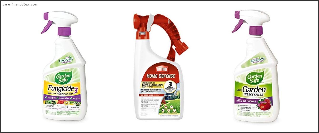 Best Insecticide To Kill Gnats