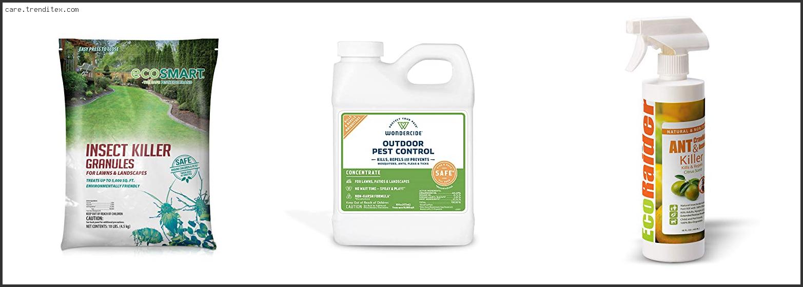 Best Pet Safe Insecticide