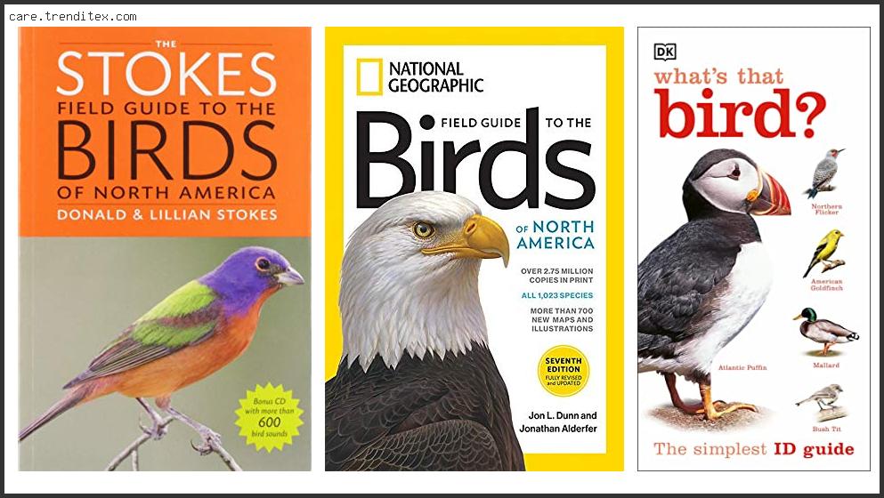 Best Bird Identification Book