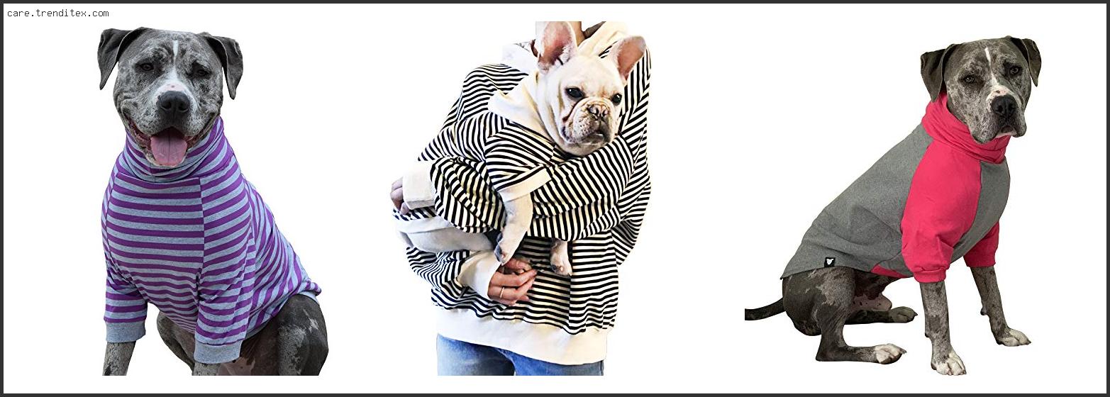 Best Dog Sweater For Pitbulls