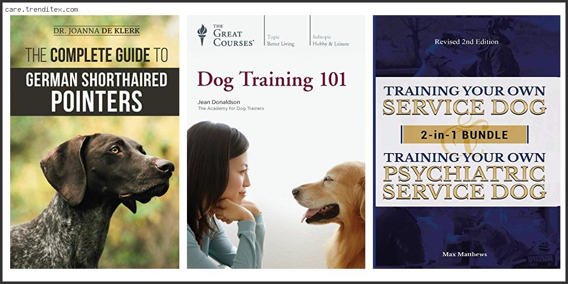 Best Dog Training Dvd