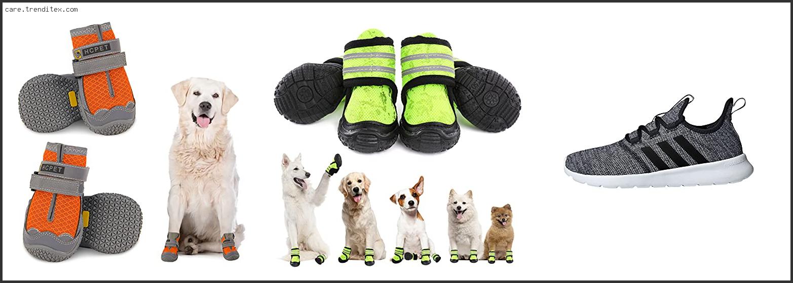 Best Dog Shoes For Running