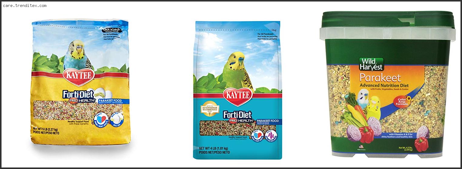 Best Bird Seed For Budgies