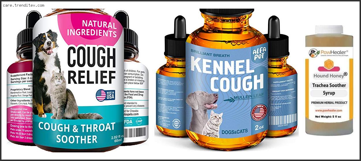 Best Cough Medicine For Dogs