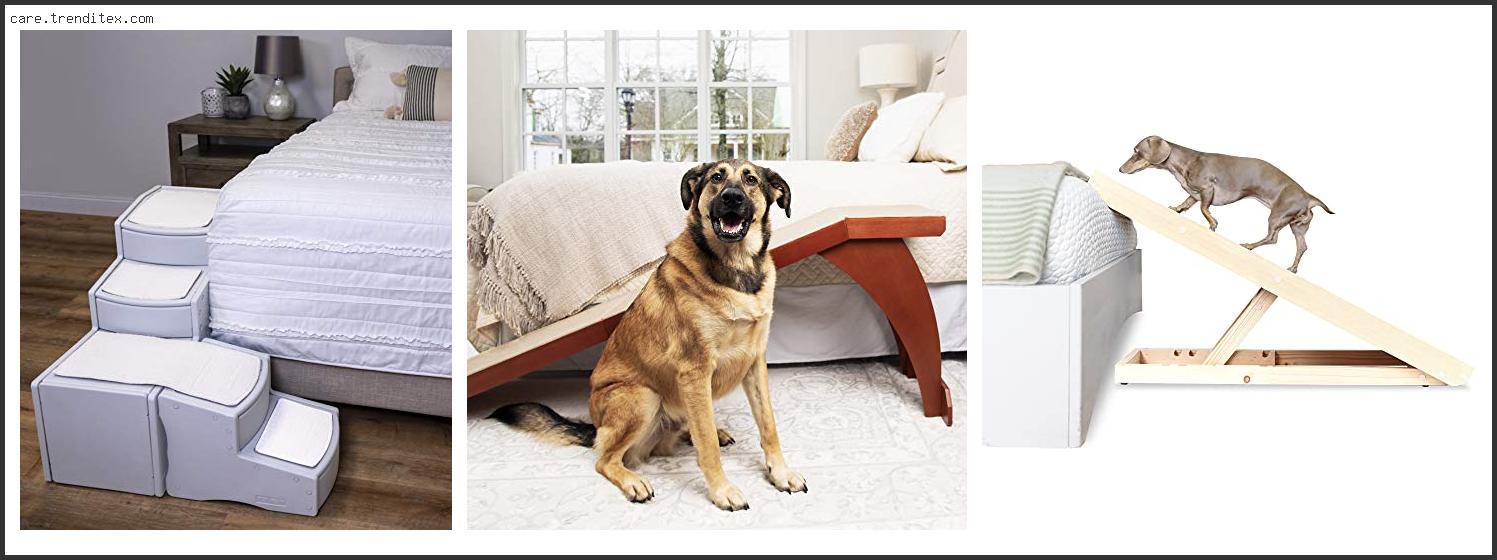 Best Dog Ramp For Bed