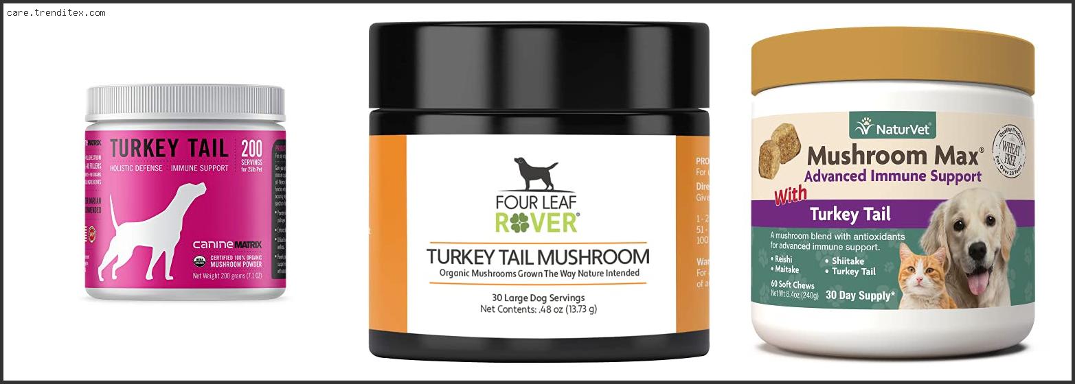 Best Turkey Tail Supplement For Dogs