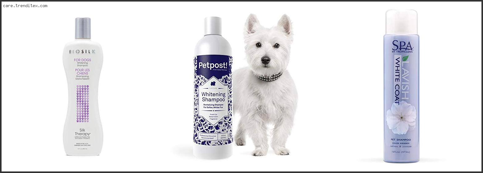 Best Dog Shampoo For White Coats