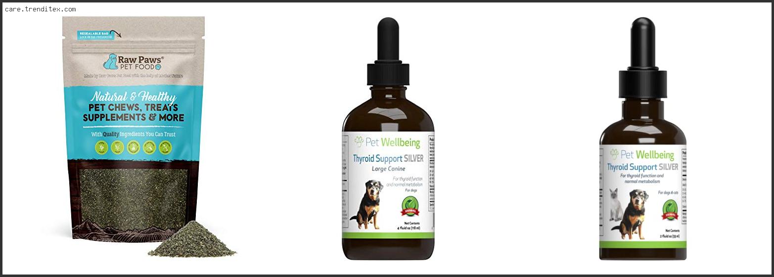 Best Thyroid Supplement For Dogs