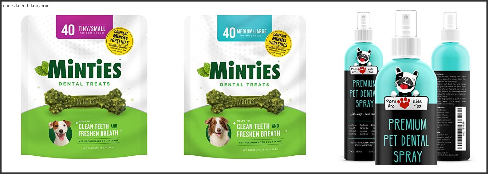 Best Dog Mints For Bad Breath