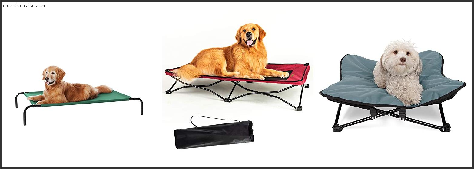Best Dog Bed For Camping