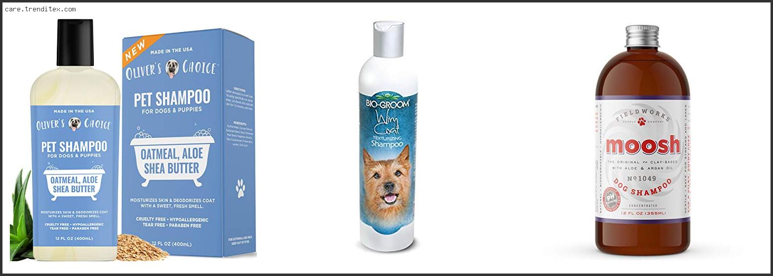 Best Dog Shampoo For Coarse Hair