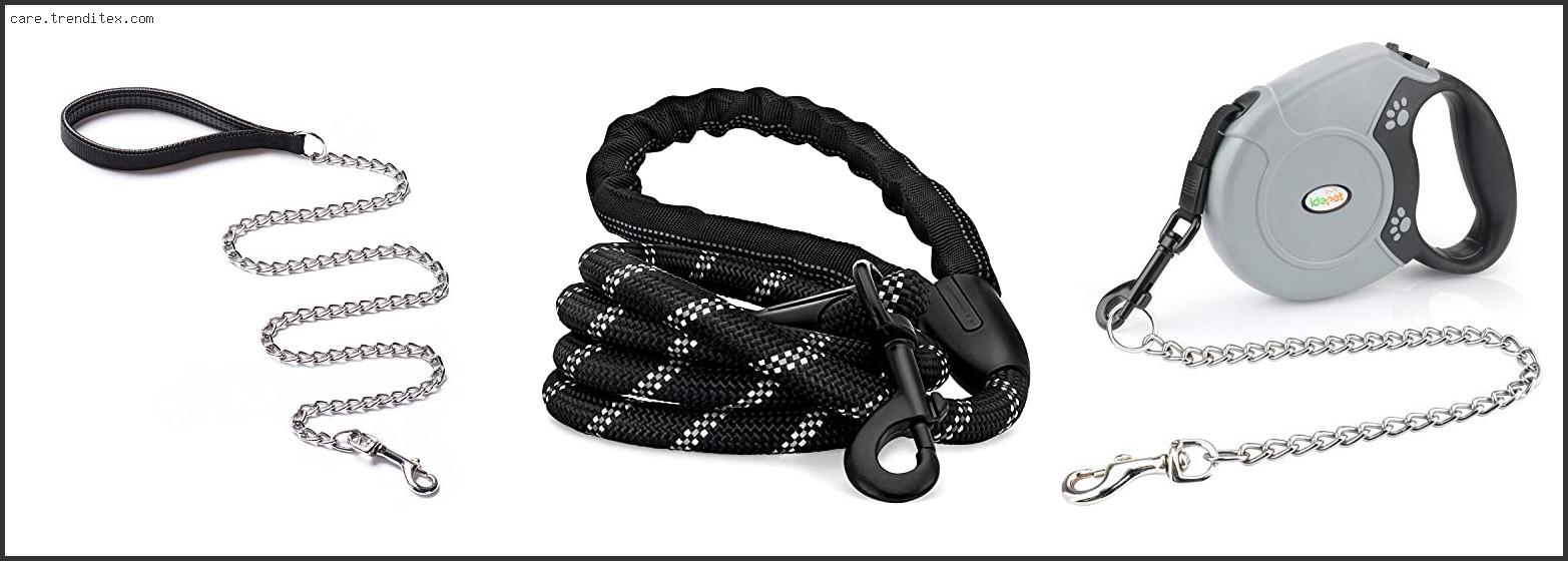 Best Leash For Dogs That Bite Leash