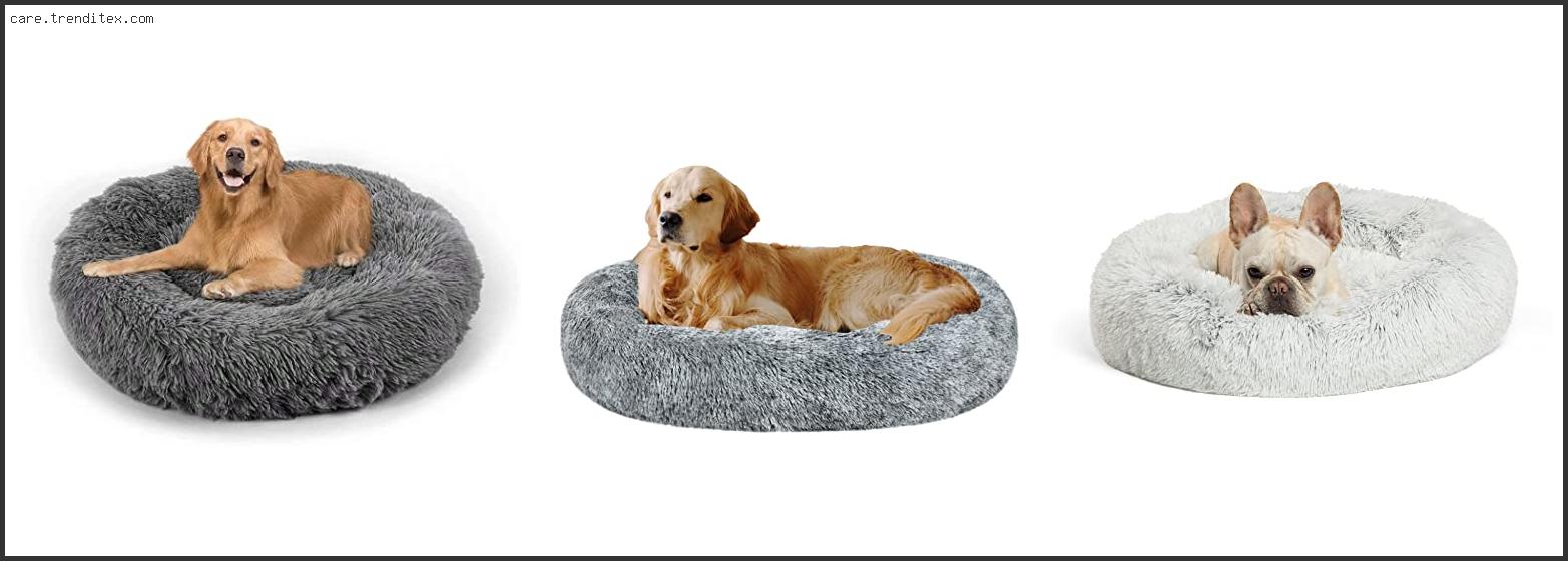 Best Dog Beds For Cuddlers