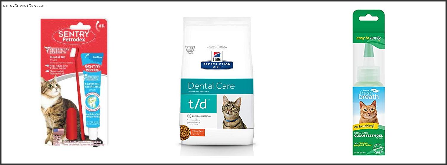 Best Cat Dental Care