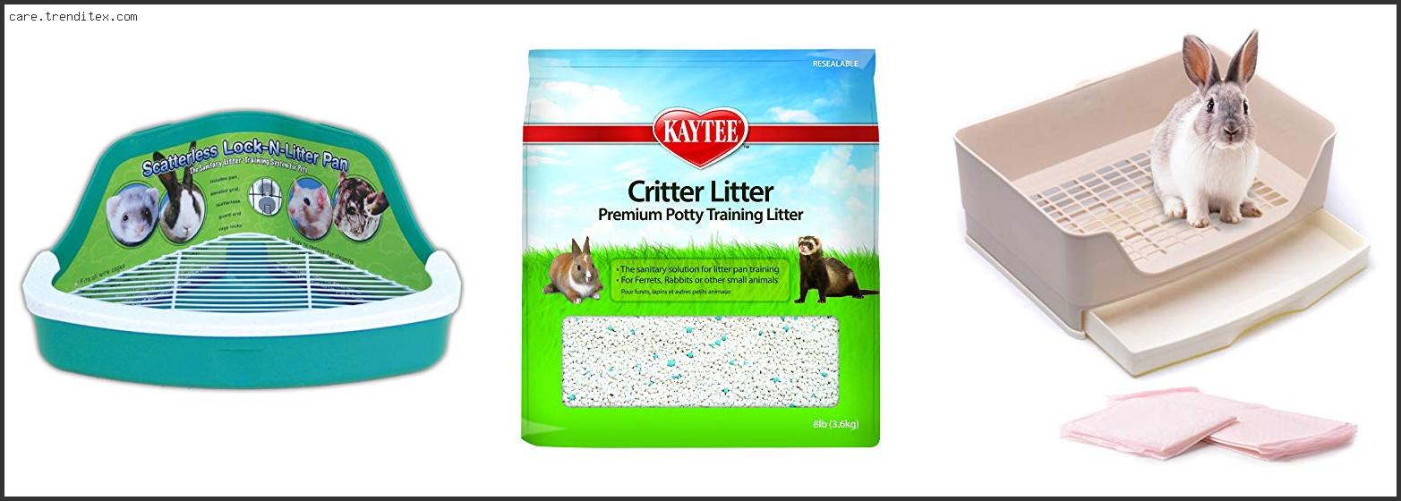 Best Litter For Lionhead Rabbits