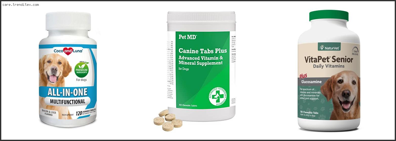 Best Multivitamin Tablets For Dogs
