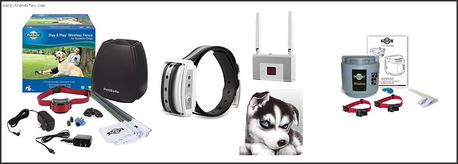 Best Wireless Dog Fence For Small Dogs