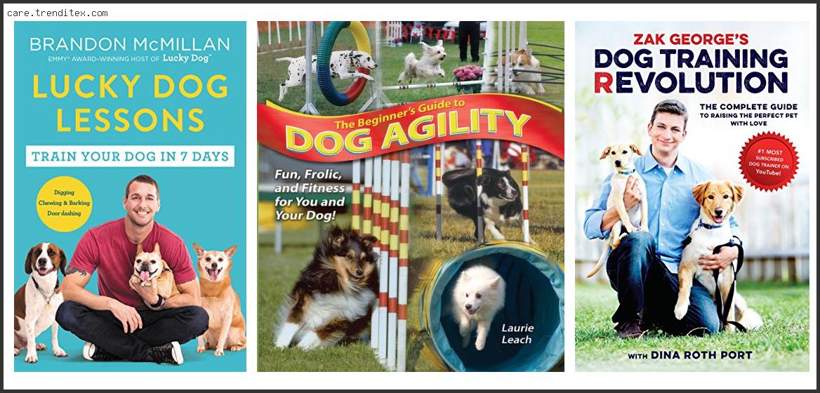 Best Dog Training Books For Beginners
