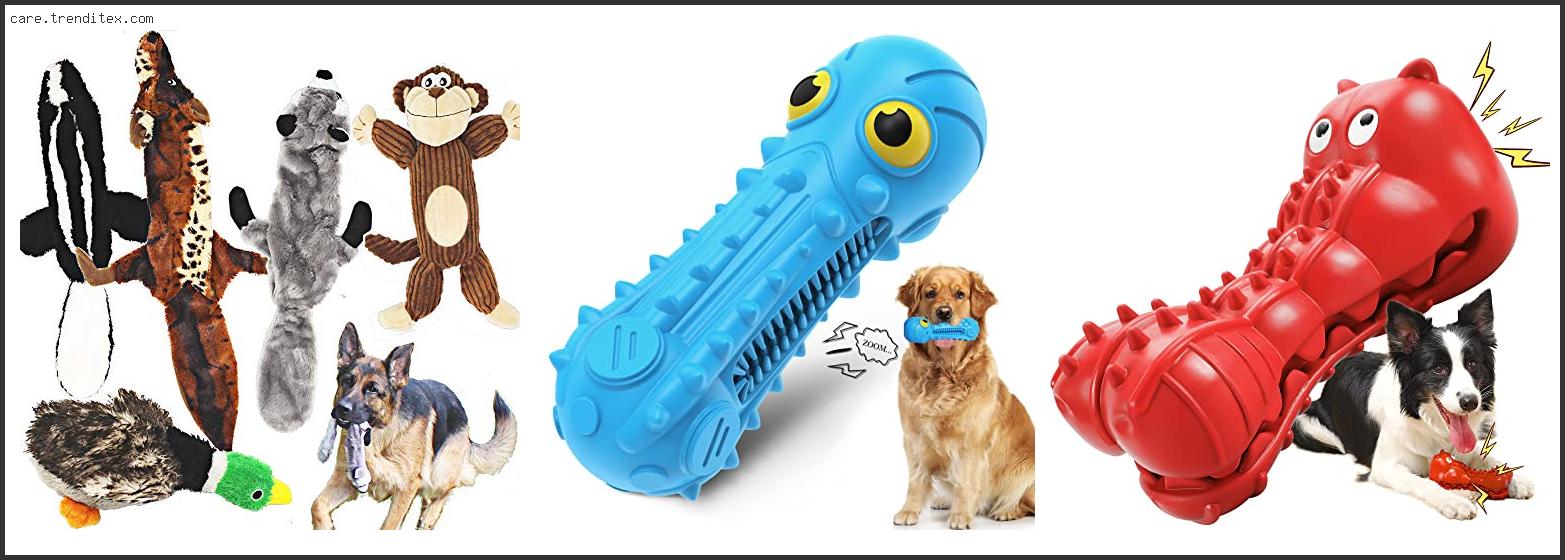 Best Durable Squeaky Dog Toys