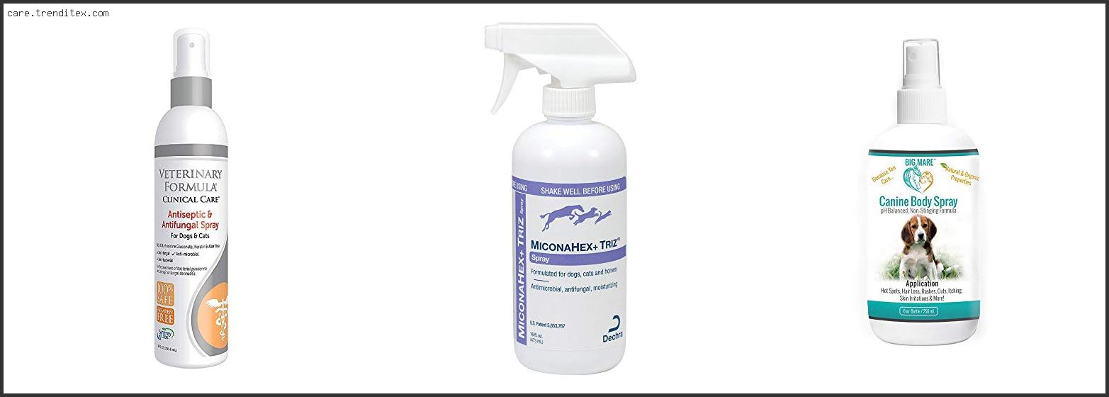 Best Antifungal Spray For Dogs