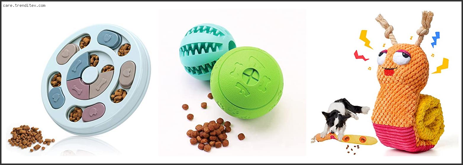 Best Dog Treat Toys