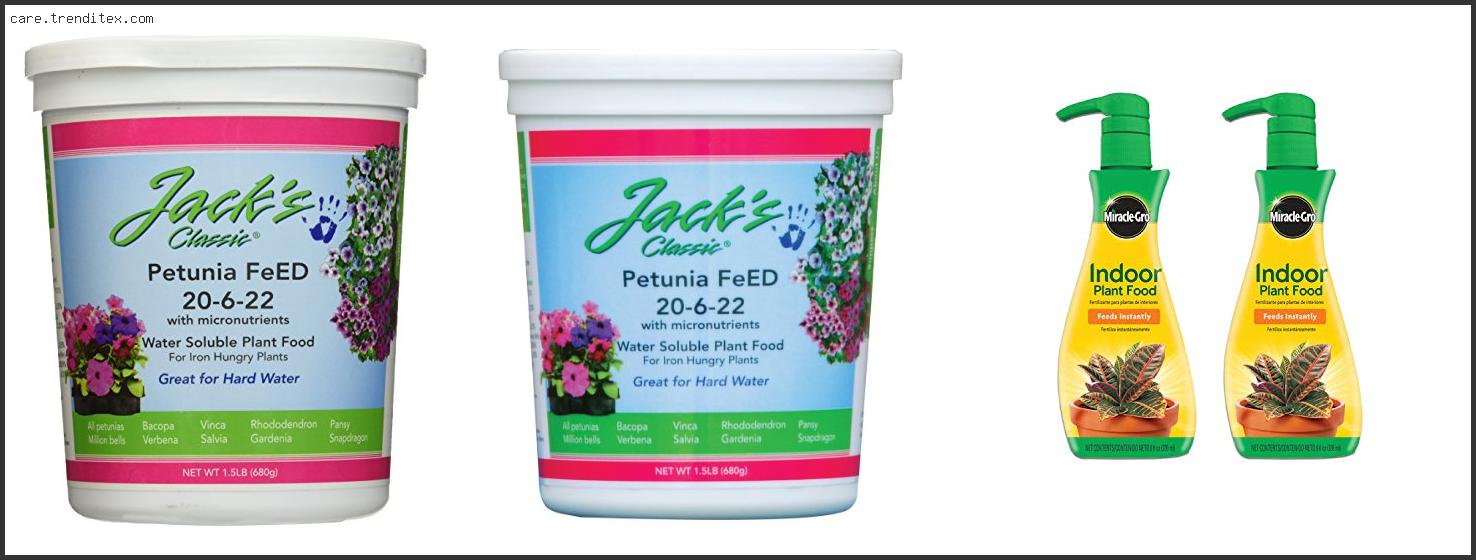 Best Plant Food For Petunias