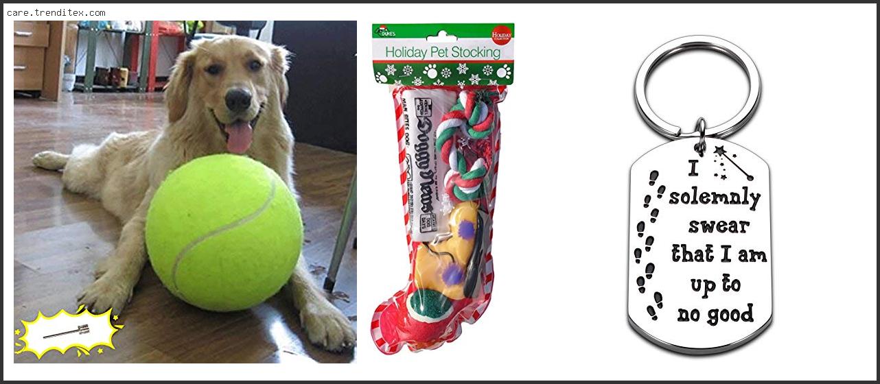 Best Christmas Presents For Dogs