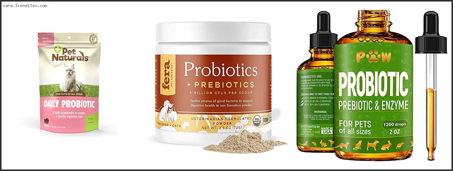 Best Probiotics For Cats With Constipation