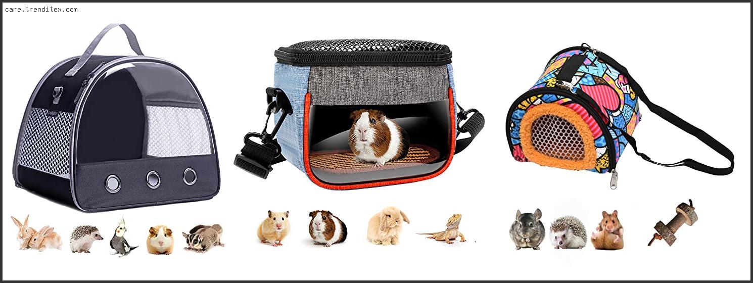 Best Travel Carrier For Guinea Pigs