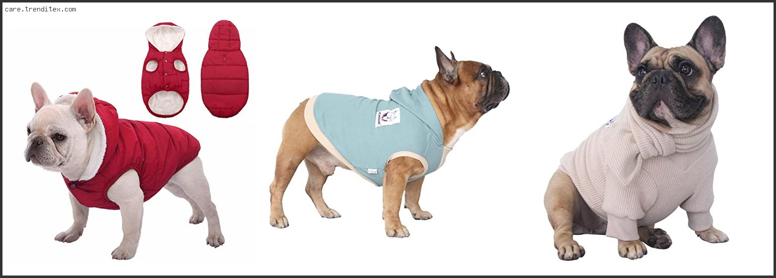 Best Sweaters For French Bulldogs
