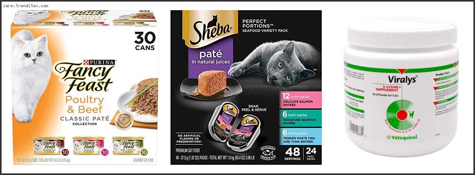 Best Cat Food For Fiv Cats