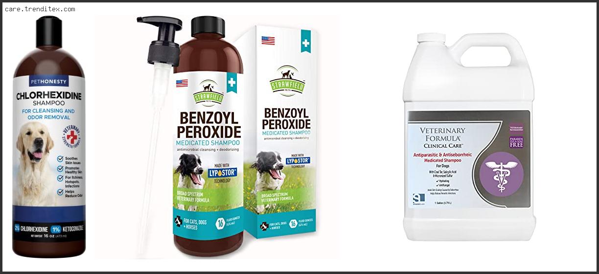 Best Shampoo For Pyoderma In Dogs