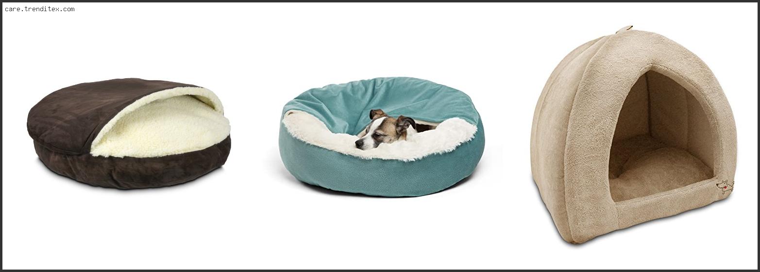 Best Covered Dog Bed