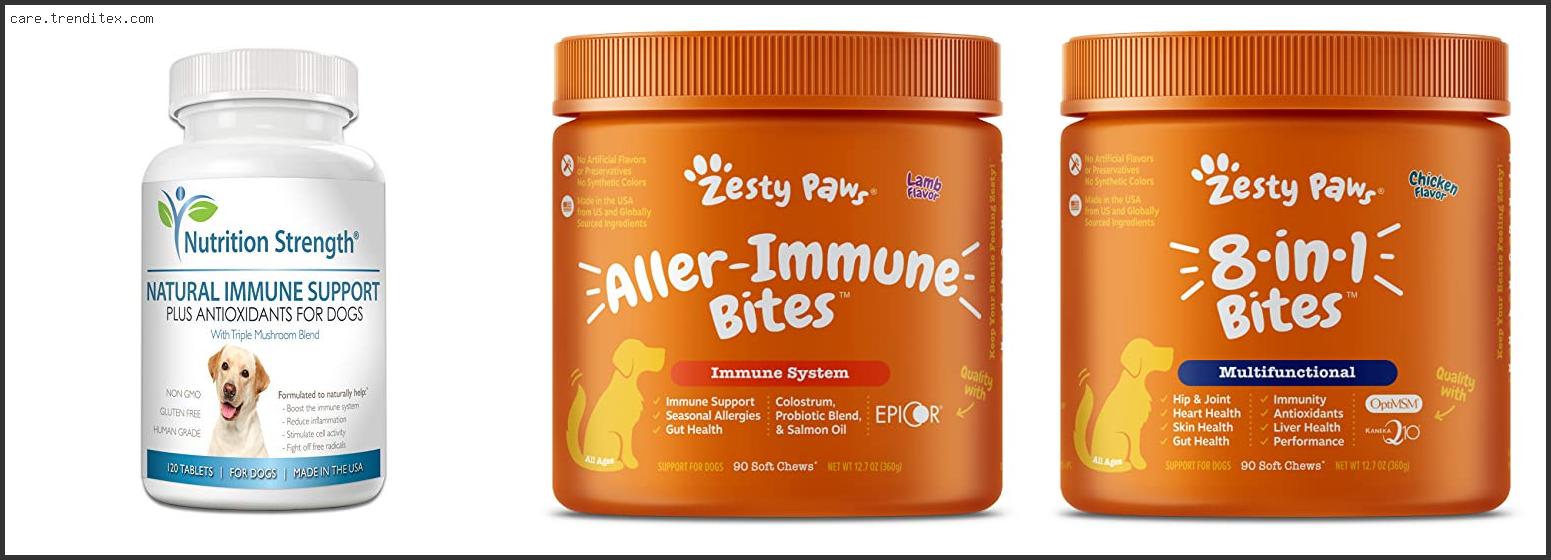 Best Immune Support Supplement For Dogs