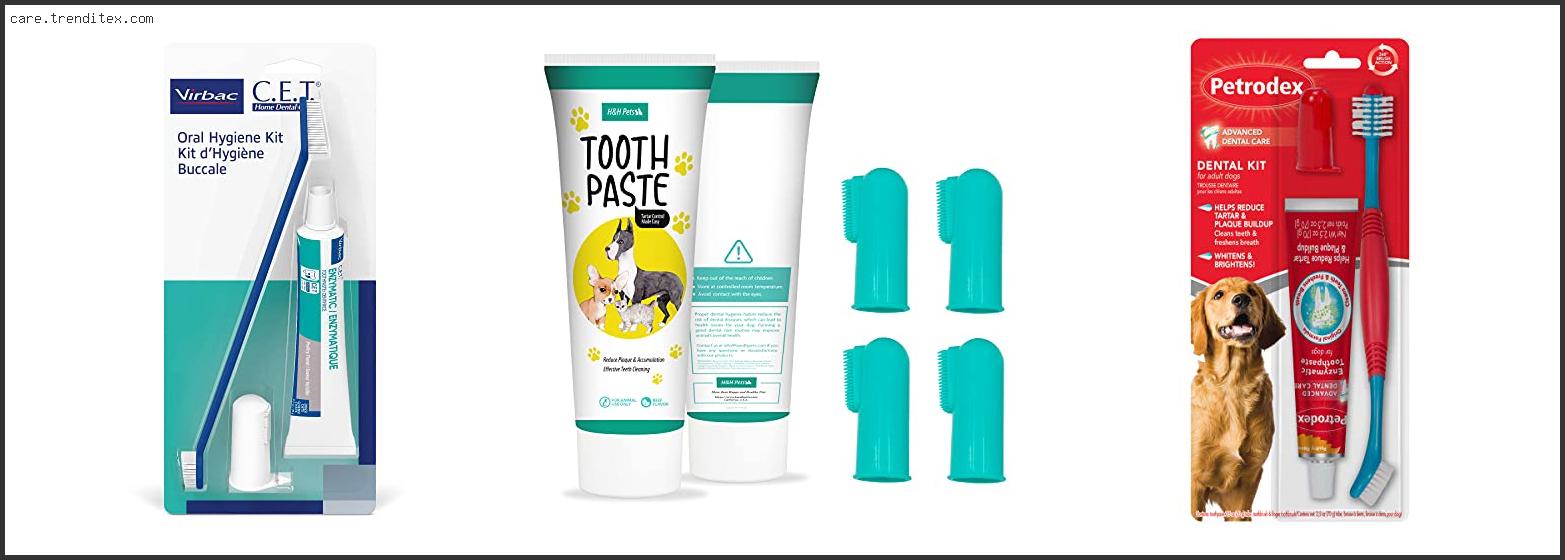 Best Dog Toothbrush And Toothpaste