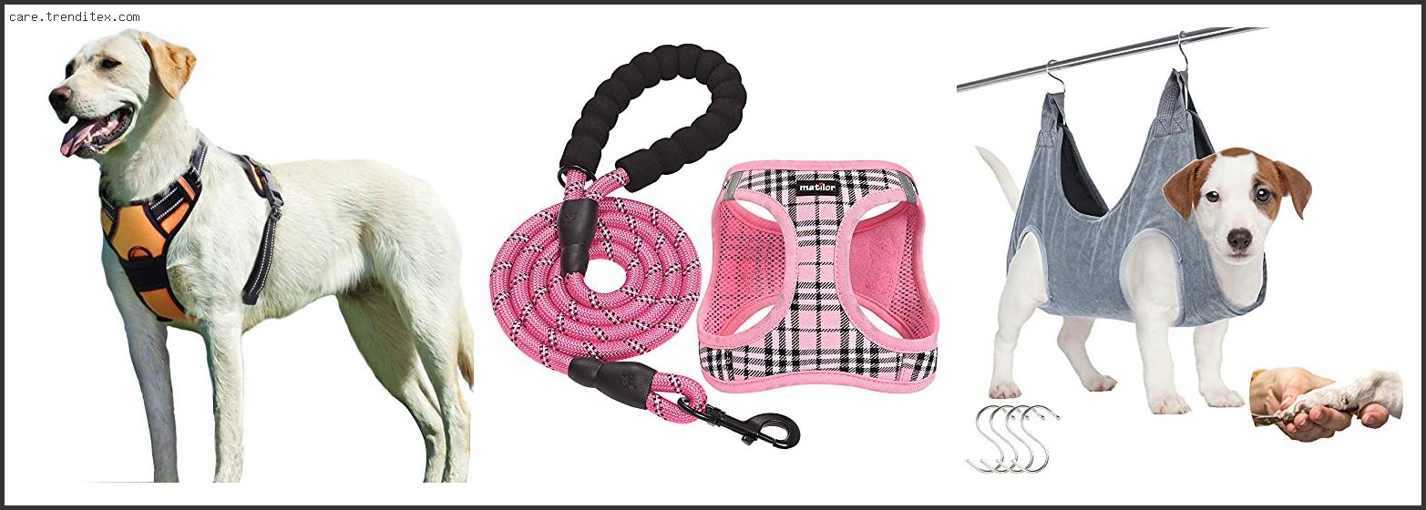 Best Breathable Dog Harness