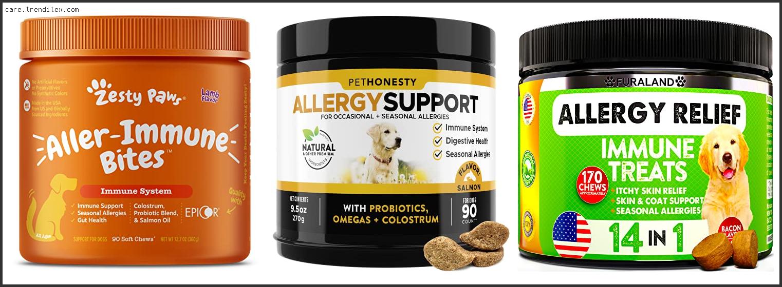 Best Allergy Relief For Dogs