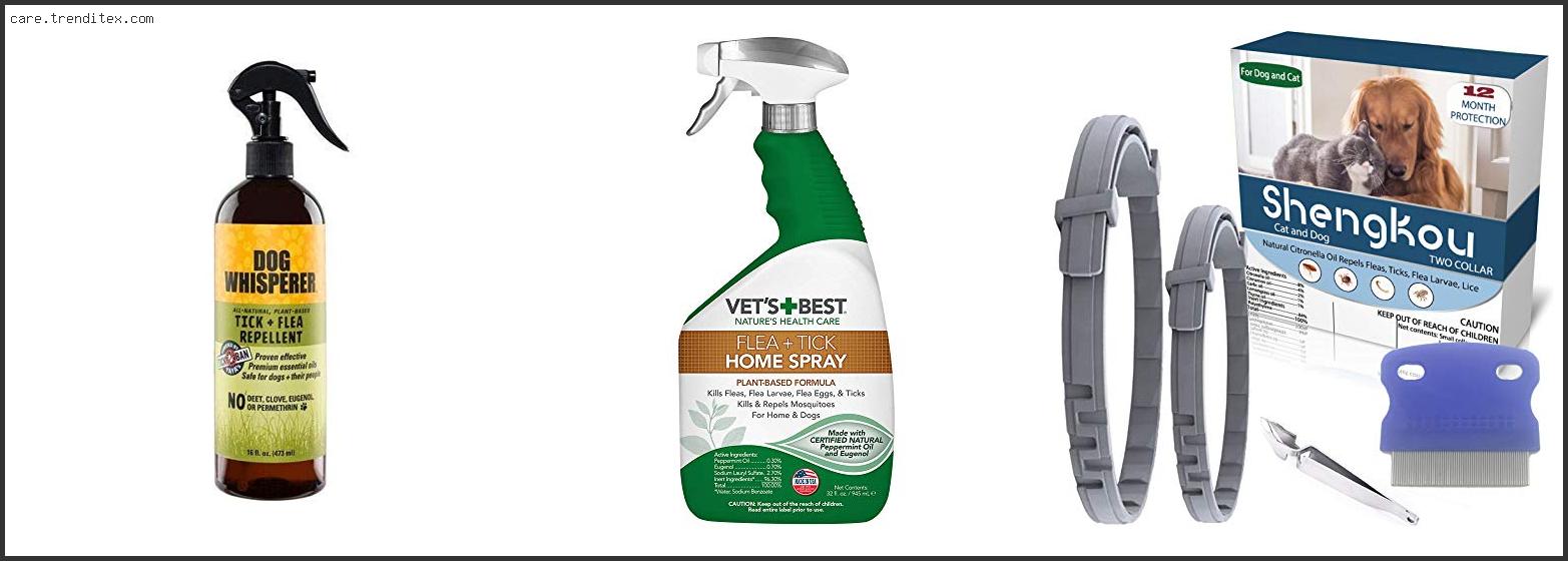 Best Natural Tick Repellent For Dogs